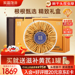 紫蓝花海 3根/g 20克 约60根 冬虫夏草新干虫草礼盒营养品