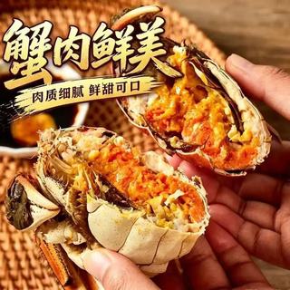 蟹简史 全母大闸蟹 2.0-2.3两 8只装