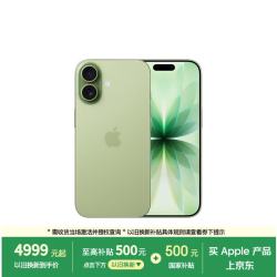 苹果 iPhone 17 5G手机 8GB+256GB 鼠尾草绿色