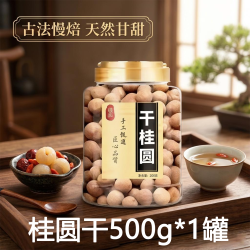 盛庆邦 福建莆田特级桂圆干500g＊1罐