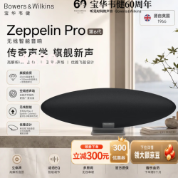 宝华韦健 Zeppelin Pro 6代 蓝牙音箱  太空灰