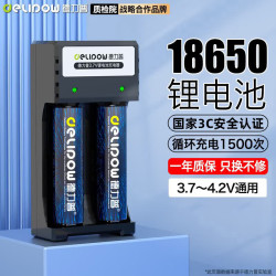 德力普 18650锂电池3.7V-4.2V尖头5550mWh充电电池配双槽智能充电器强光手电筒专用/头灯/航模/小风扇等