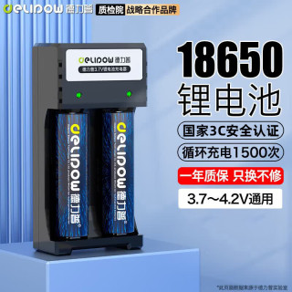 德力普 18650锂电池3.7V-4.2V尖头5550mWh充电电池配双槽智能充电器强光手电筒专用/头灯/航模/小风扇等