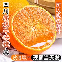 泰汇吃 四川爱媛38号果冻橙  坏果包赔   5斤（65-70MM）