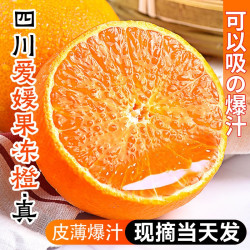 泰汇吃 四川爱媛38号果冻橙  坏果包赔   5斤（65-70MM）