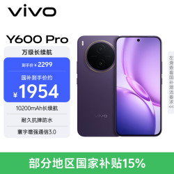 vivo Y600Pro 8GB+256GB 星曜紫 10200mAh耐超低温蓝海电池 耐久抗摔防水 寰宇增强通信3.0 AI手机