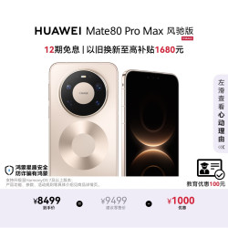 华为 Mate 80 Pro Max 风驰版 手机 16GB+512GB 极昼金