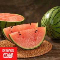 京喜 2k西瓜网红小糖丸西瓜麒麟西瓜脆甜整箱包邮 小糖丸1.5-2斤净重1.3斤+