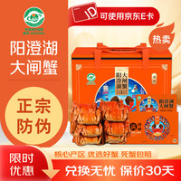 湖丰 阳澄湖大闸蟹卡 558型 3对6只 礼盒装 (公3.0两 母2.5两)