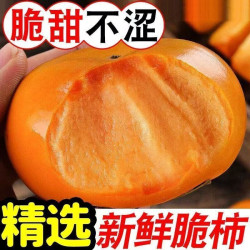 正宗阳丰脆柿应季新鲜甜柿子巧克力脆柿冰糖心无核硬柿子当季水果