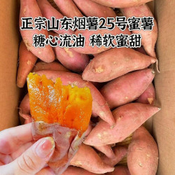 果乡趣 正宗山东糖心烟薯25品质装蜜薯红薯新鲜番薯烤地瓜山芋香甜软糯