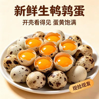 移动端：奇香嘉 新鲜生鹌鹑蛋现捡现发谷物散养宝宝辅食家庭卤味破损包赔