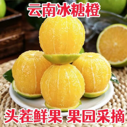 云南哀牢山冰糖橙新鲜水果应季青绿橙子多汁柑橘精品直发鲜果中秋