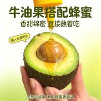 南阙 云南树熟牛油果 单果40-70g 10个装