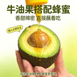 南阙 云南树熟牛油果 单果40-70g 10个装