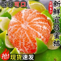 晟茂甄农 农宜昌蜜桔 带箱 5 斤净重 4.5 斤（推荐装）
