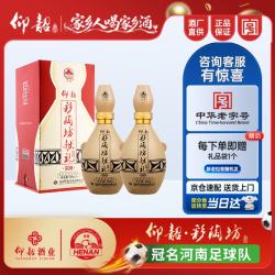 仰韶 彩陶坊 献礼500 白酒 50度 500ml*2 双瓶装
