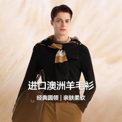 比音勒芬 秋季款羊毛衫男款圆领羊毛衫亲肤柔软挺括男士打底衫