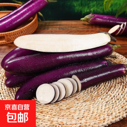 紫皮长茄现摘现发蔬菜紫皮茄子新鲜蔬菜生鲜京东物流 新鲜紫茄子 2斤