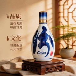汾酒 青花20 53%vol 清香型白酒 500ml*1瓶