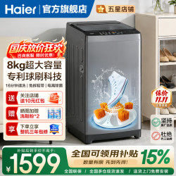 海尔 洗鞋机全自动刷鞋 洗脱一体专业洗鞋机  一投即洗免拆鞋带 HQ2T66H