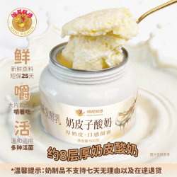 寻香牧场 哈尼牧场内蒙古特产8层厚奶皮子酸奶500g低温老酸奶