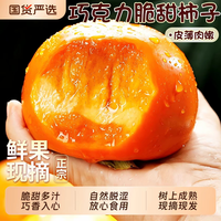飘香果度 陕西富平吊柿饼 流心柿子饼独立包装特级头茬农家自制霜降柿饼干 2斤活动款