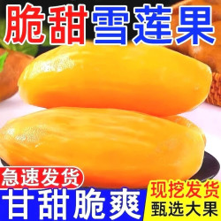 云南天山雪莲果3斤中果