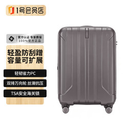 新秀丽 可登机箱可扩展行李箱出国留学密码旅行商务出差拉杆箱银色20英寸