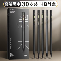真彩 黑木铅笔HB六角杆石墨无铅小学生书写洞洞笔 HB-30支装 B