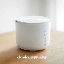 欧莱克 立时迷你电饭煲1-2-3人家用2升电饭锅蒸笼