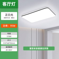 雷士 照明led客厅吸顶灯2026新款护眼全光谱吸顶灯中山客厅主灯