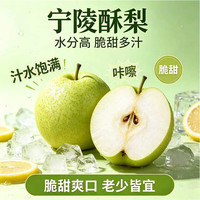 玉芬 当季生鲜水果 节日送礼 酥梨净重4.5斤 单果350g+