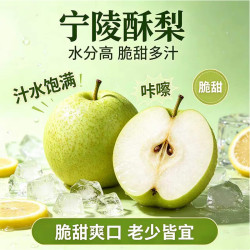 玉芬 当季生鲜水果 节日送礼 酥梨净重4.5斤 单果350g+