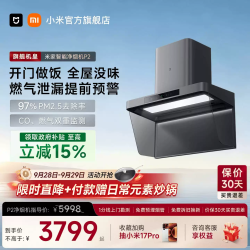 米家 净烟机P2 高性能免拆洗