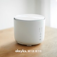 宅家食光：欧莱克 立时迷你电饭煲1一2一3人小型家用多功能低糖2升小电饭锅