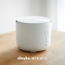 欧莱克 立时迷你电饭煲1一2一3人小型家用多功能低糖2升小电饭锅
