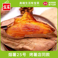 宝菜 烟薯25号流油蜜薯 4.5斤装/单果100g