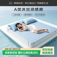 源生活冰丝凉席两件套 A类凉感席子可机洗空调席 120*200cm 天空蓝