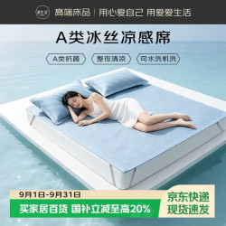 源生活冰丝凉席两件套 A类凉感席子可机洗空调席 120*200cm 天空蓝