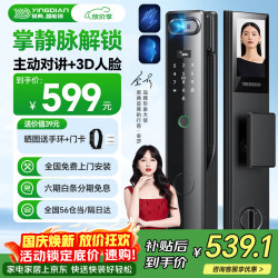 英典 R10 掌静脉3D人脸识别智能门锁