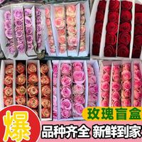 与花同行 鲜花基地直发