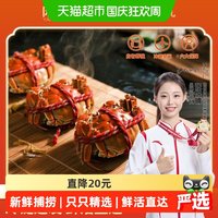 88VIP:阳澄有礼 大闸蟹礼盒装特大鲜活螃蟹去绳净重足两中秋