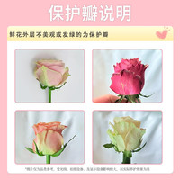 与花同行 单头玫瑰 10枝装 鲜花
