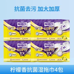 花仙子 湿巾拖布 抗菌免手洗 12张/包
