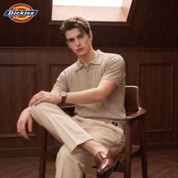 Dickies 老钱风复古针织短袖男士翻领POLO衫夏薄款透气休闲上衣浅灰色XL