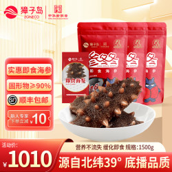 獐子岛 即食海参袋装 底播大连辽刺参冷冻生鲜海鲜水产大连海参滋补礼物 即食海参 1500g