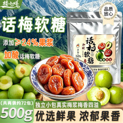 楼小咩 加酸话梅软糖独立小包装 500g
