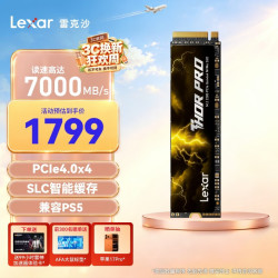 雷克沙 THOR PRO 雷神系列 NVMe M.2 固态硬盘 2TB（PCI-E 4.0）