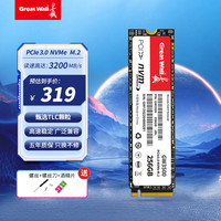 长城 读速高达3500MB/s SSD固态硬盘  256GB